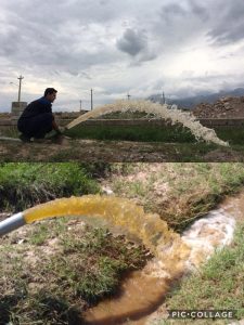 WhatsApp Image 2025-11-19 at 20.24.24 (6)